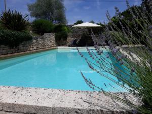 a large blue swimming pool with an umbrella at Roulotte Belle des Prés in Sigalens