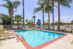 einen Pool in einem Resort mit Stühlen und Palmen in der Unterkunft Motel 6-Simi Valley, CA in Simi Valley