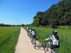 Jazda na bicykli v okolí ubytovania Apartamento con increíbles vistas y terraza
