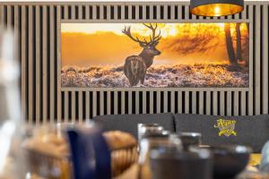Fotografie z fotogalerie ubytování Alpenlodge Bad Mitterndorf v Bad Mitterndorfu