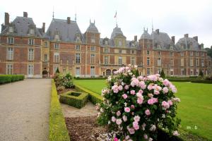 a large castle with pink roses in front of it at Villa la Rafale Belle époque, , parking gratuit plage 5mn in Le Tréport