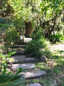 a cat sitting on a set of steps in a garden at Loeriewood Garden Apartment, Hunters Home in Knysna