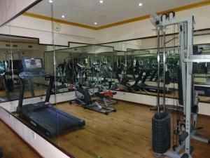 Fitness centrum a/nebo fitness zařízení v ubytování Royal Court