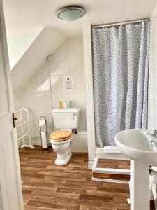 a bathroom with a toilet and a sink at The Mayfair in Weymouth