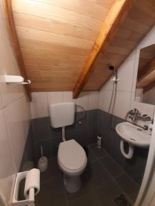 Ένα μπάνιο στο Apartmani i sobe "Vodenica" Janjske Otoke +138 φωτογραφίες