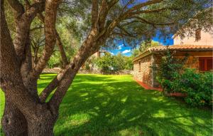 a green yard with a tree and a house at Trilo 6 in San Teodoro +6 photos