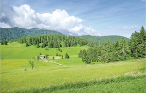 a green field with a house in the middle of it at Al Ginco in Vellai +17 photos