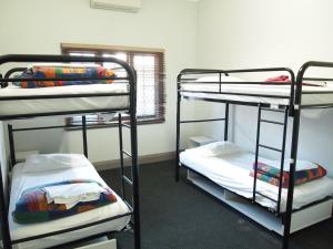 a room with three bunk beds and a window at The Emperors Crown Hostel in Perth