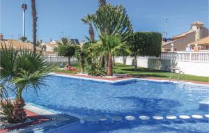 トレビエハにあるBeautiful Home In Torrevieja With 2 Bedrooms, Outdoor Swimming Pool And Swimming Poolのヤシの木が植えられた庭の大型スイミングプール