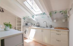 A kitchen or kitchenette at U Sierpo Zico