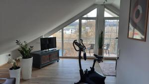 a living room with a treadmill in front of a tv at Ferienwohnung Storchennest in Itzgrund-Kaltenbrunn in Kaltenbrunn