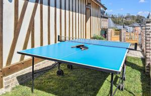 una mesa de ping pong azul en la hierba en Pet Friendly Home In Hricourt-en-caux With Wifi, en Héricourt-en-Caux