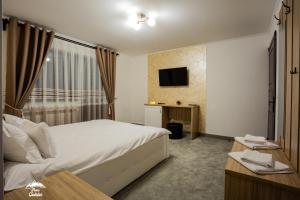 una camera d'albergo con un letto e una televisione di Piatra Codrilor a Dorna-Arini