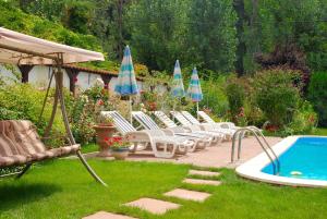 - un groupe de chaises longues et de parasols à côté de la piscine dans l'établissement Vila Poiana, à Snagov