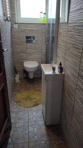 a small bathroom with a toilet and a sink at Lorin Prestige Apartament in Elblag