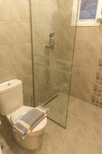 a bathroom with a toilet and a glass shower at Fragoulis Village in Parasporos