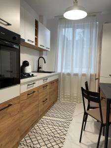 una cocina con fregadero y encimera en Igla House, en Baia Mare
