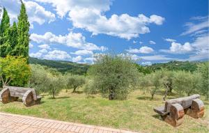 two stone benches in a field with trees and bushes at La Selvarella in Seggiano