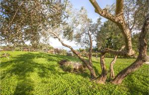 A garden outside Awesome Home In Gradoli