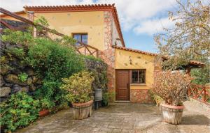 a house with potted plants in front of it at Holiday Home Hoya Los Charcos in Icod el Alto +23 photos