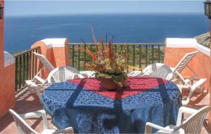 a table with a blue table cloth and a plant on a balcony at Trilo 6 in Cuile Pazzoni