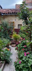 Villa del Rosario Hostal في كوينكا: حديقة بها زهور ونباتات أمام المنزل