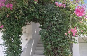 Κήπος έξω από το Soleiliosonne, Haus Paris +29 φωτογραφίες