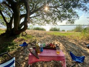 una mesa de picnic bajo un árbol con comida. en Posada Morotí en Esquina