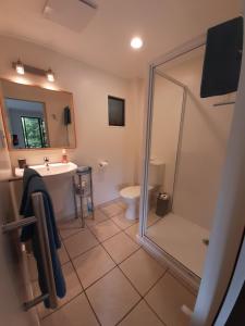 a bathroom with a shower and a sink and a toilet at A Sea View B&B in Picton