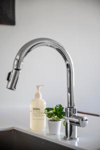 a sink with a bottle of soap and a plant at Skyline Blue Modern Loft - Zuni Lofts in Denver