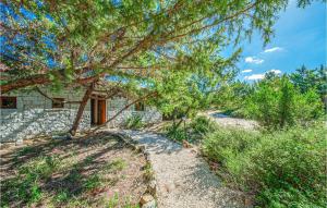 a stone house with a tree in front of it at Ginepri Bilo in Badesi