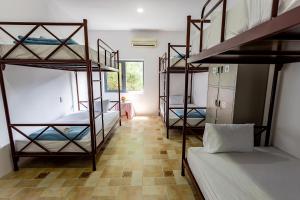 Zimmer mit 4 Etagenbetten in einem Zimmer in der Unterkunft The Dreamers Homestay in Hue