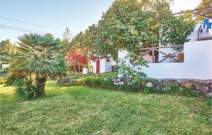 een huis met een palmboom en een stenen muur bij Casa Los Pinos in Icod de los Vinos