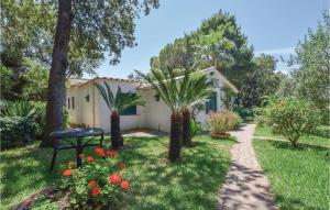 A garden outside Laltana