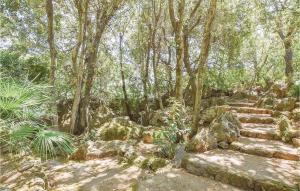 A garden outside Laltana