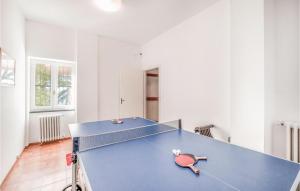 a blue ping pong table in a room at Villa Valentini in San Michele di Pagana
