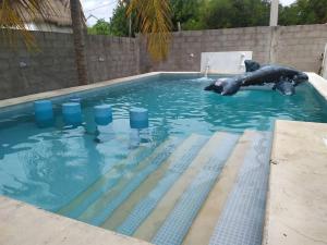 a pool with a bear laying in the water at Casa M&P: Casa Amplia cerca del mar de Chelem in Chelem