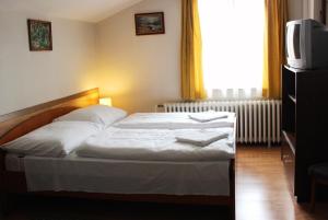 Gallery image of Erika Vendégház in Szentendre +24 photos