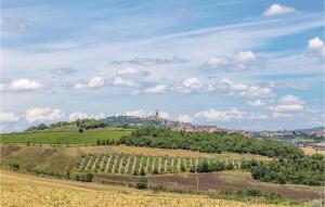 a view of a hill with trees and a city at Apartment Todi PG 27 in Canonica