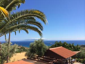 Paesaggio naturale nelle vicinanze dell'appartamento