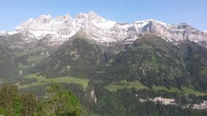 Paesaggio naturale nelle vicinanze dello chalet