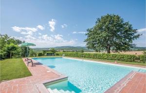 The swimming pool at or close to Tulipano