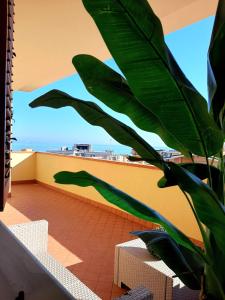 Gallery image of Villa Paradiso in Campofilone +19 photos