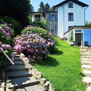 a house with a bunch of flowers on a hill at Essentia Guest House in Faggeto Lario 