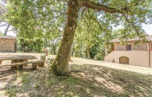 マルタにあるBolsenaのギャラリーの写真 +16枚の写真