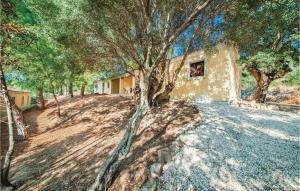 ein Gemälde eines Hauses mit einem Baum in der Unterkunft Li Scalitti 2 in Badesi