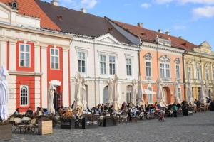 Gallery image of Charming Apartment in Historical City Center in Timişoara