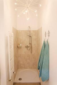 a bathroom with a shower and a blue towel at Charming Apartment in Historical City Center in Timişoara