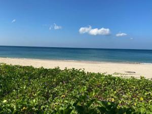 a beach with a field of plants and the ocean at Lanta smile inn in Ko Lanta +10 photos