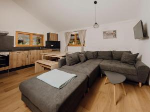 a living room with a gray couch and a kitchen at Natur-Camp Tannenfels in Baiersbronn